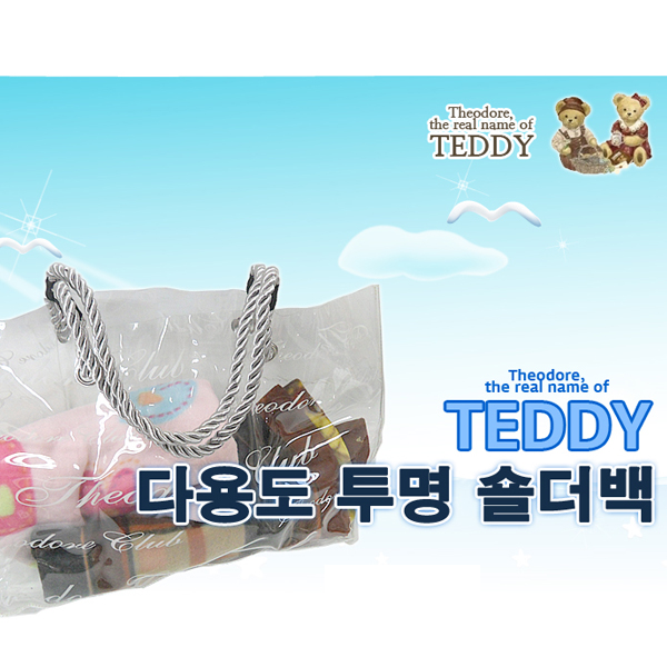 테디베어 비치백